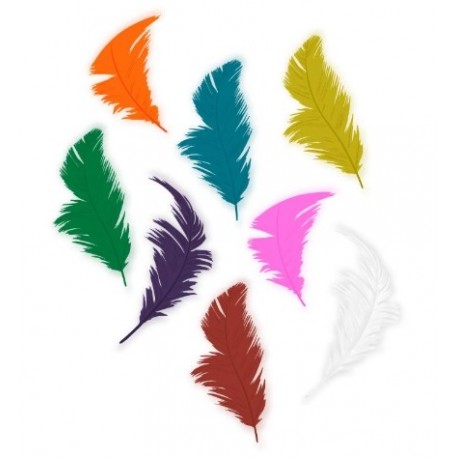 PLOMES COLORS. BOSSA 14 GRS. ASSORTIDES
