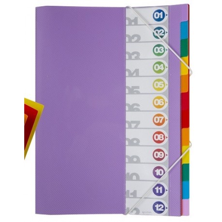 CARPETA CLASSIFICADORA PVC. FOLI. 12 SEPARACIONS PVC