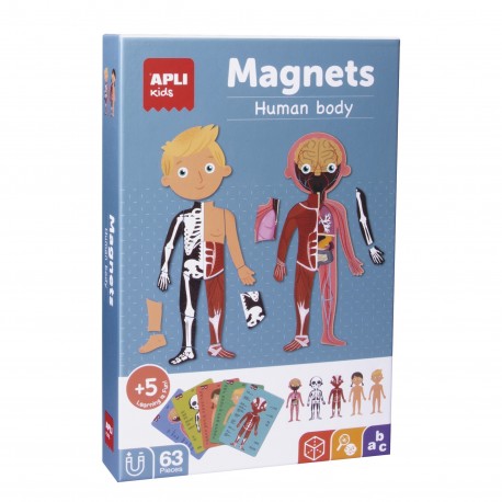 MAGNETS COS HUMÀ. 63 PECES MAGNÉTIQUES