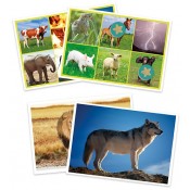 SONS ANIMALS. 25 TARGETES I 150 FITXES AMB CD-ROM. JOGUINA A PARTIR DE 3 ANYS